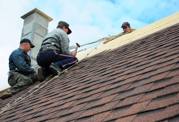 Best Roof Gutter Cleaning  in Stonebridge, NJ